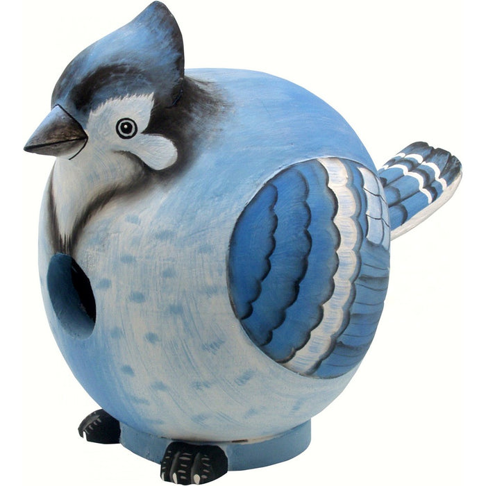 Blue Jay Gord-O Bird House