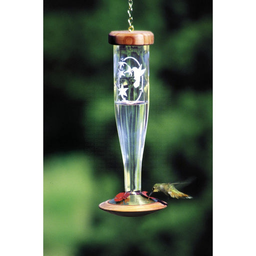 Crystal Etched hummingbird Lantern