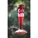 Paradise Ruby hummingbird Lantern