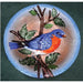 Bluebird Birdbath