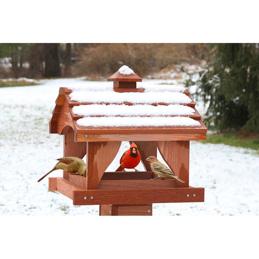Pavillion Bird Feeder