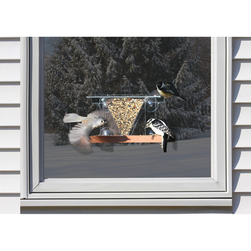 Window Feeder 3