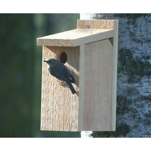 Bluebird House View Thru