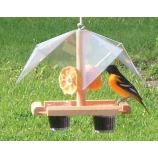 Oriole Feeder Buffet