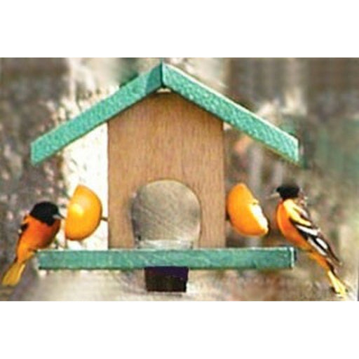 Oriole Feeder Cedar