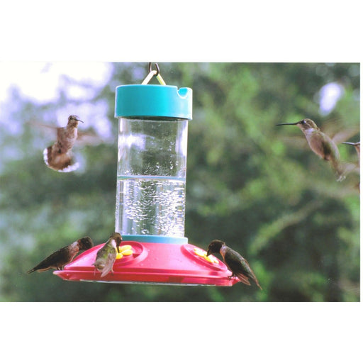 Original Dr JBs 16 oz Clean Hummingbird Feeder