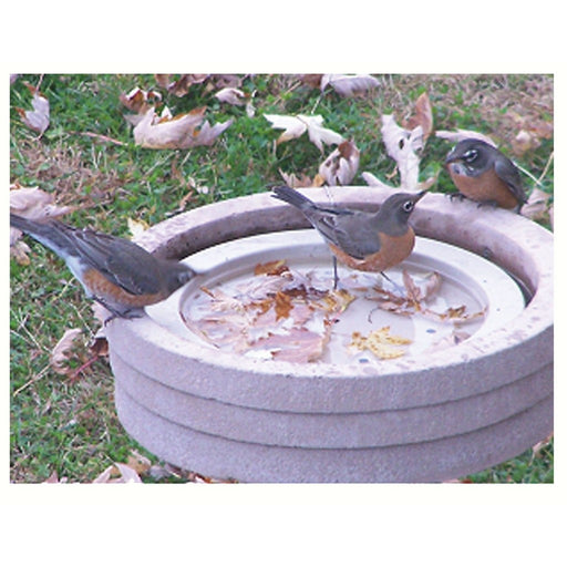 Bird Bath Raft