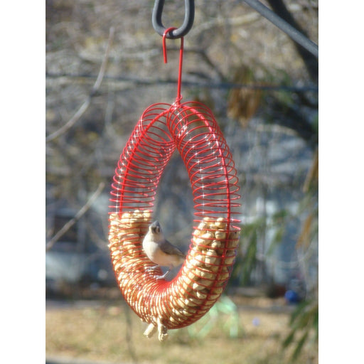 Whole Peanut Wreath Ring Red