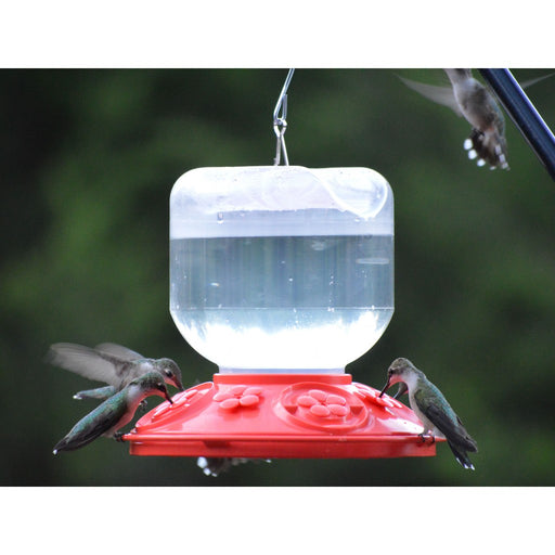 Dr. JB's complete Switchable 32 oz. with Yellow Flowers Feeder (Bulk)