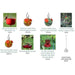 Hummingbird Feeders Bundled Assortment