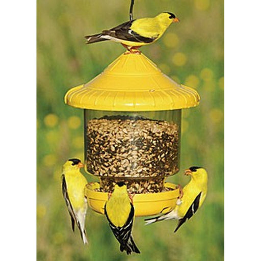 Clingers Only Feeder Yelloww