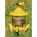 Clingers Only Feeder Yelloww