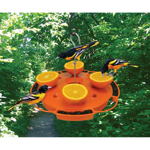 Ultimate Oriole Feeder