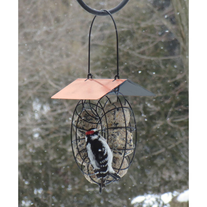 Suet & Seed Ball Feeder Copper Roof