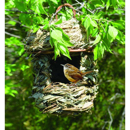 Acorn Hanging Roosting House