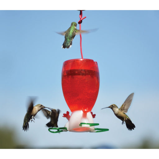 Big Red Hummingbird Feeder