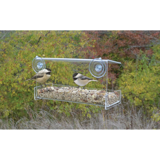 Clear View Open Diner Window Feeder