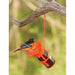 Jelly/Jam Feeder