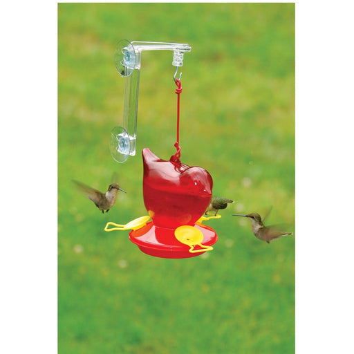 Window Red Bird Hummingbird Feeder