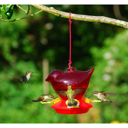 Red Bird Hummingbird Feeder