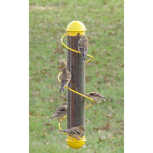 17in. Yellow Spiral Finch Tube