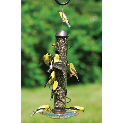 17in. Copper Spiral Sunflower Feeder