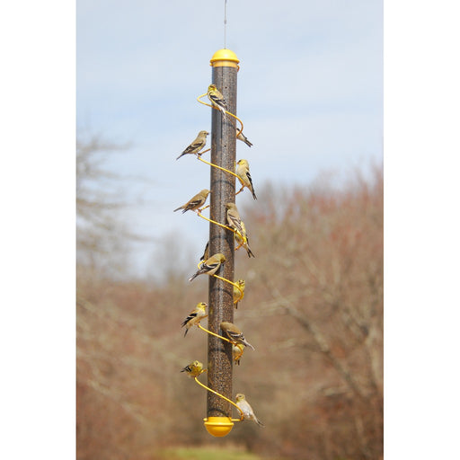 36in. Yellow Spiral Finch Tube