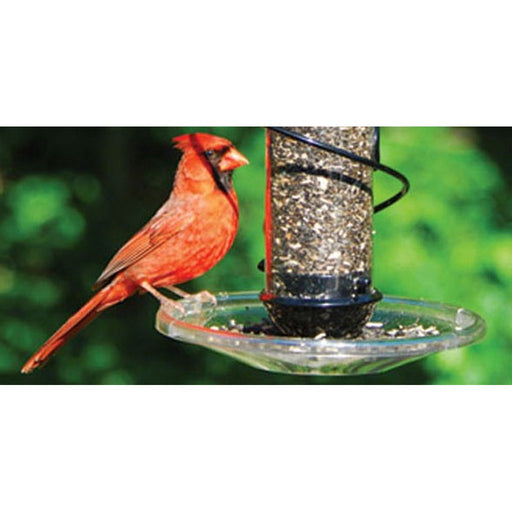 Clear Screw-On Seed Tray(Fits all Songbird Essentials BirdQuest feeders)