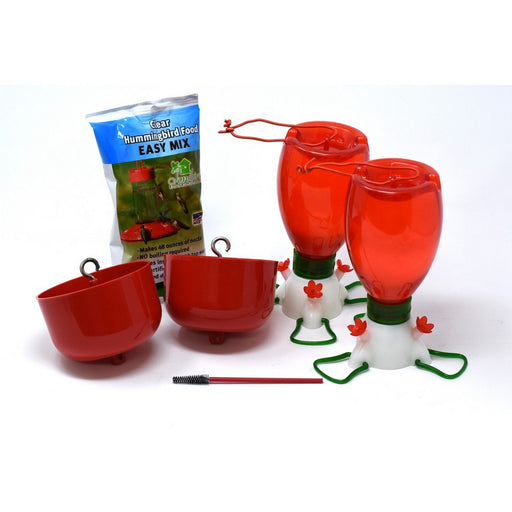 Big Red Hummingbird Feeder Starter Box