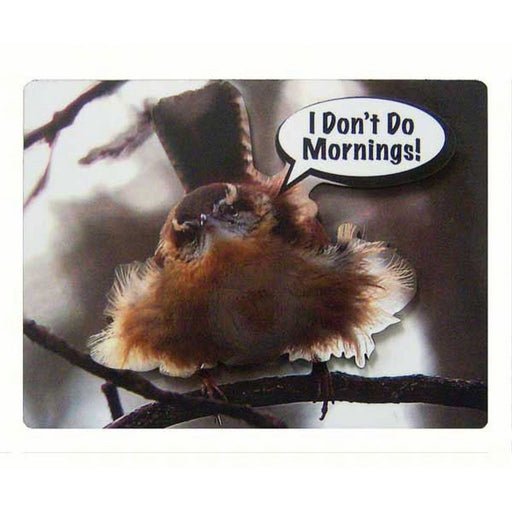 2-D Magnet I Don't Do Mornings!