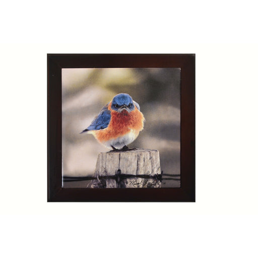 Mad Bluebird, Trivet