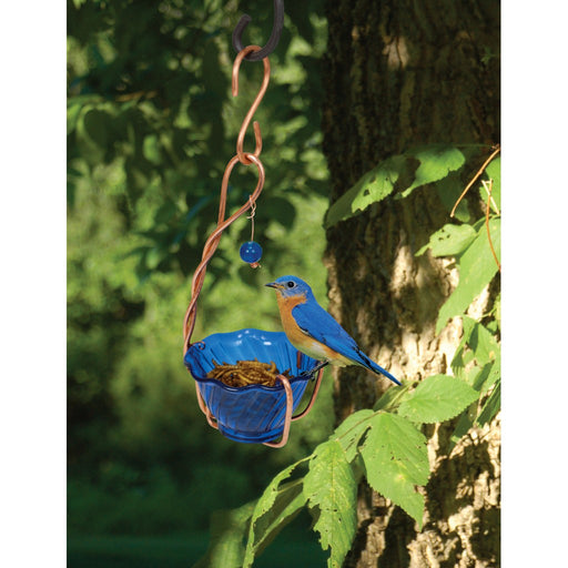 Copper Bluebird Mealworm Feeder