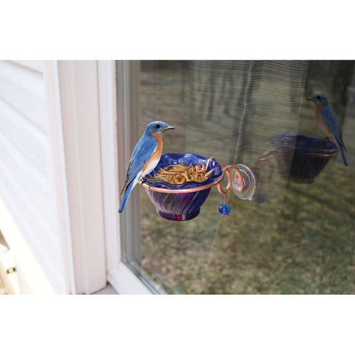 Copper Bluebird Mealworm Window Feeder