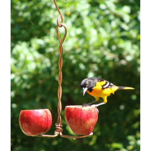 Double Fruit Feeder