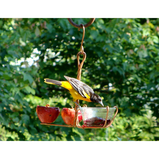 Fruit and Jelly Feeder