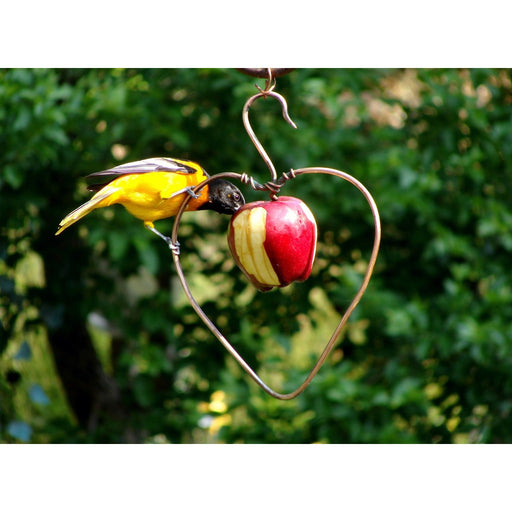 Heart Fruit Feeder