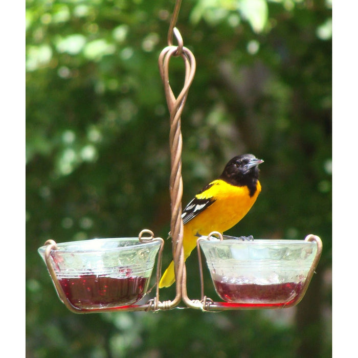 Two Cup Jelly Feeder