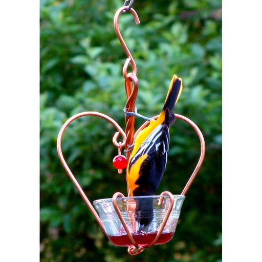 Love Birds Jelly Feeder