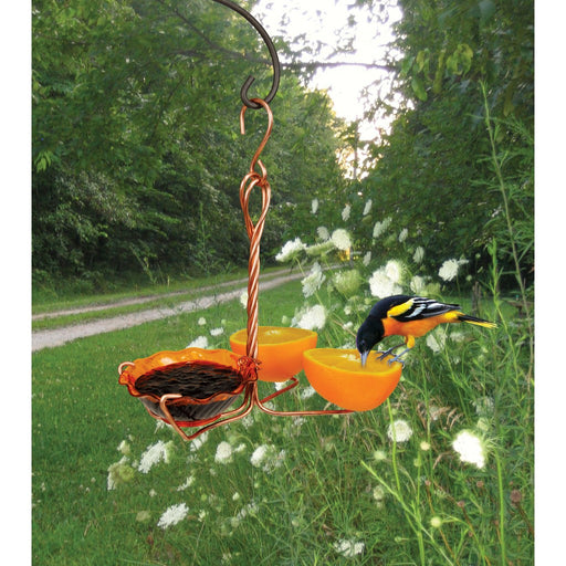 Copper Oriole Fruit and Jelly Feeder Single Cup