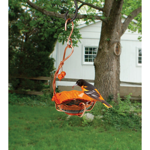 Oriole Jelly Feeder Single Cup