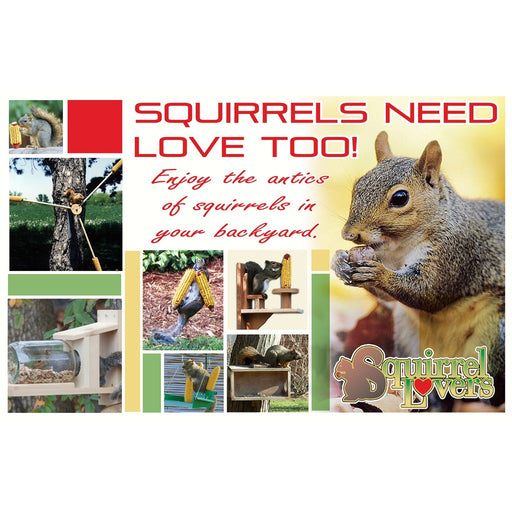 Squirrels Need Love Too