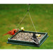 Hanging Platform Feeder