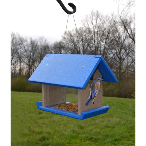 Mealworm Feeder Blue/Grey