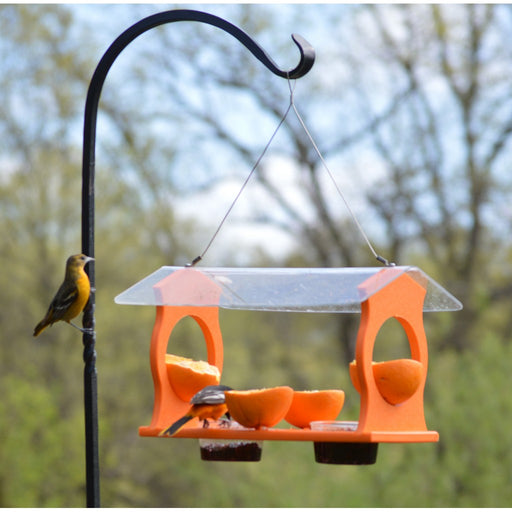 Oriole Diner Feeder