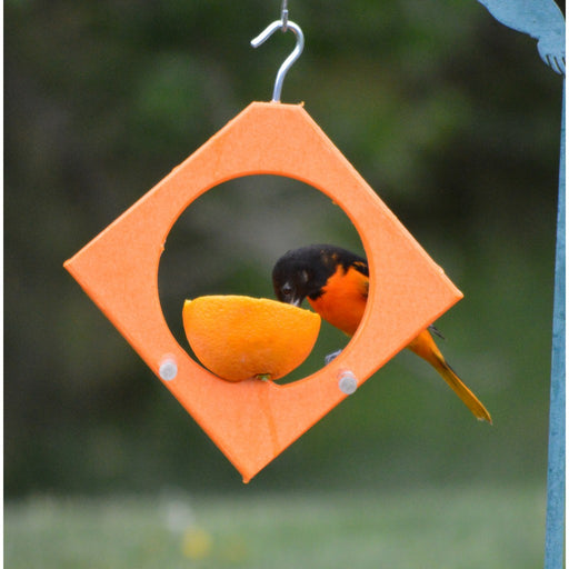 Diamond Oriole Feeder