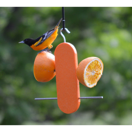 Poly Double Orange Feeder