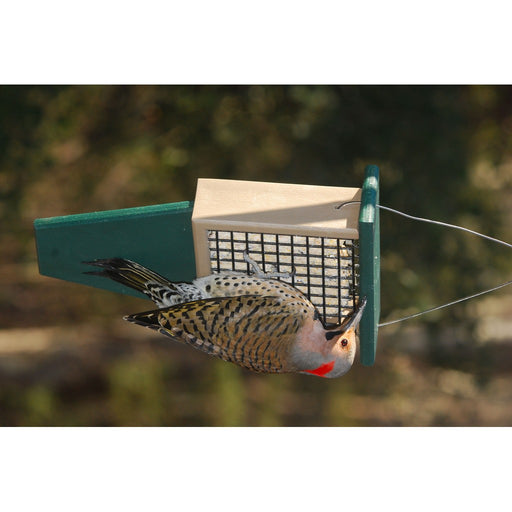 Suet Feeder with Tail Prop Hunter Driftwood