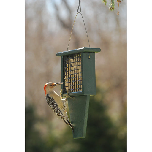 Suet Feeder with Tail Prop