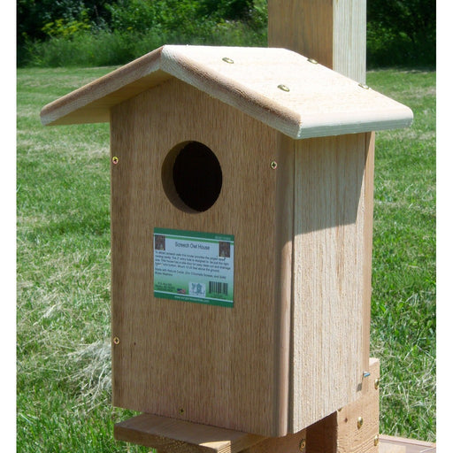 Screech Owl House