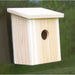 Nest View Bird House